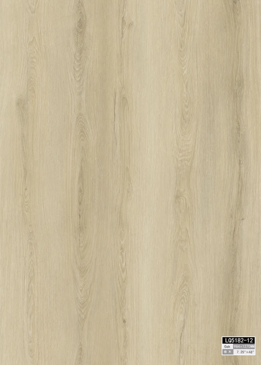 Vinyl Floor Sandstone Timber image 5