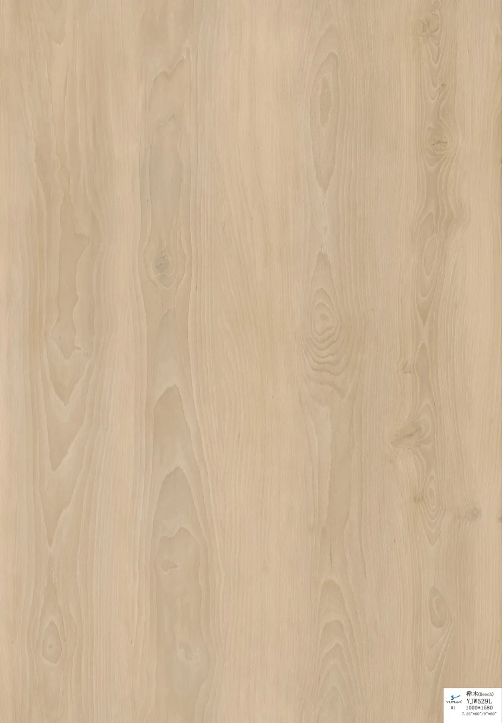 Vinyl Floor Morning Sand image 5